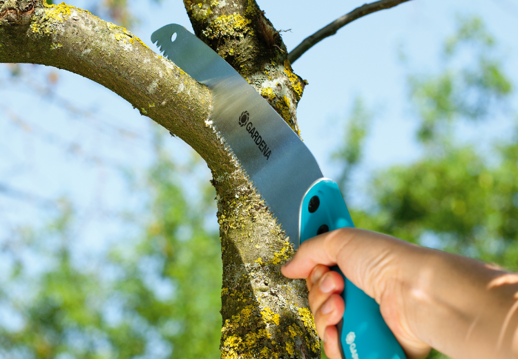 CƯA TAY LƯỠI THẲNG GARDENA 08737-20 - Ảnh 4