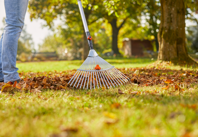 ĐẦU CÀO LÁ ĐIỀU CHỈNH 30-50 CM GARDENA -03103-20 - Ảnh 4
