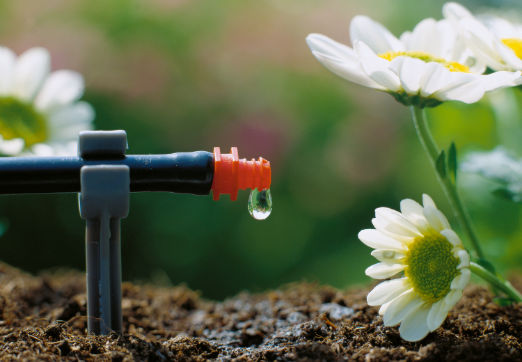 Bộ 25 đầu tưới nhỏ giọt 2 l/giờ Gardena 01340-20 - Ảnh 4