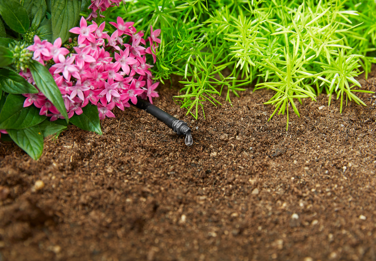 Bộ 25 đầu tưới nhỏ giọt Gardena 4 l/giờ 1341-20 - Ảnh 3
