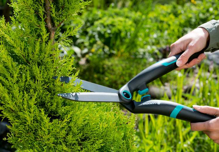 Kéo tỉa rào cao cấp Gardena 12302-20 - Ảnh 2