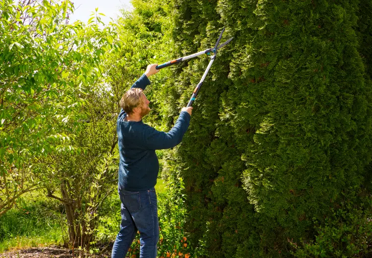 Kéo tỉa rào thay đổi chiều dài Gardena 12304-20 - Ảnh 3