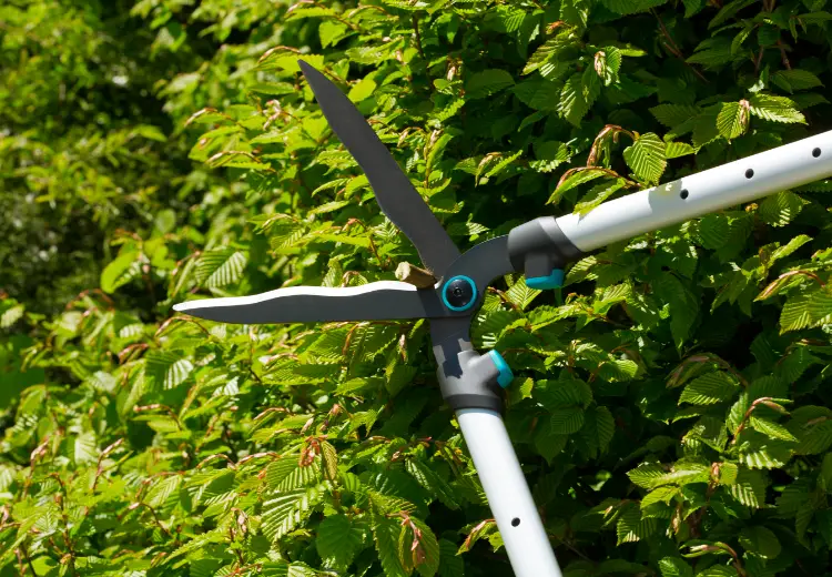 Kéo tỉa rào thay đổi chiều dài Gardena 12304-20 - Ảnh 2