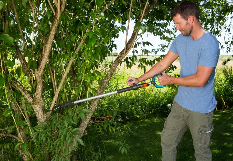 Kìm cắt cành tầm cao Slimcut Gardena 12010-20 - Ảnh 5